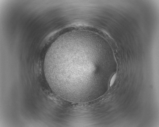 X0000066531016200603201354