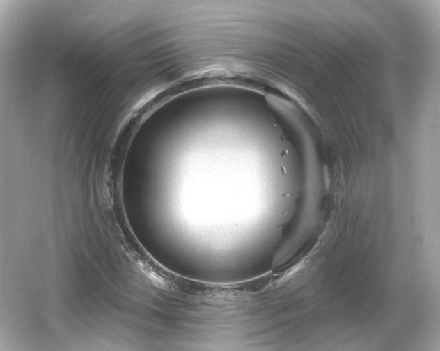 X0000066531018200603201354