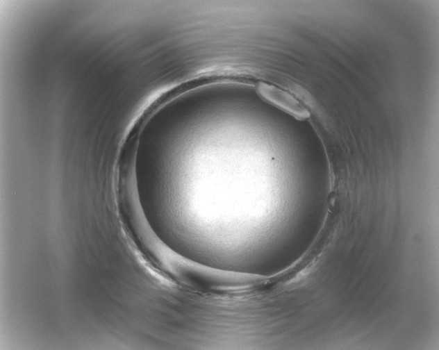 X0000066531030200603201354