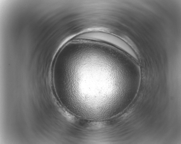 X0000066531044200603201354