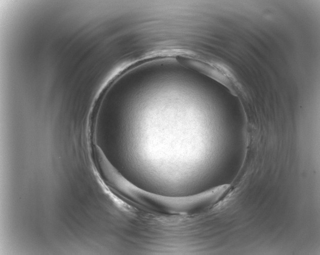 X0000066531046200603201354