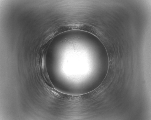 X0000066531058200603201354