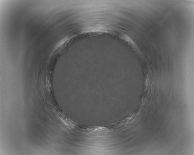 X0000066531064200603201354