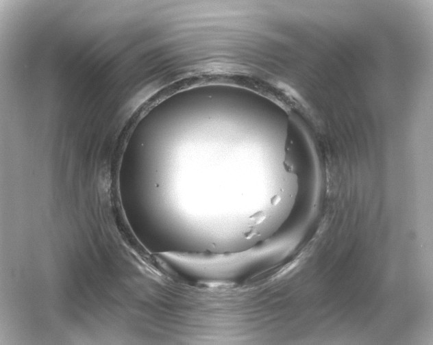 X0000066531065200603201354