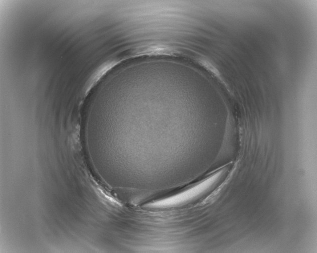 X0000066531066200603201354