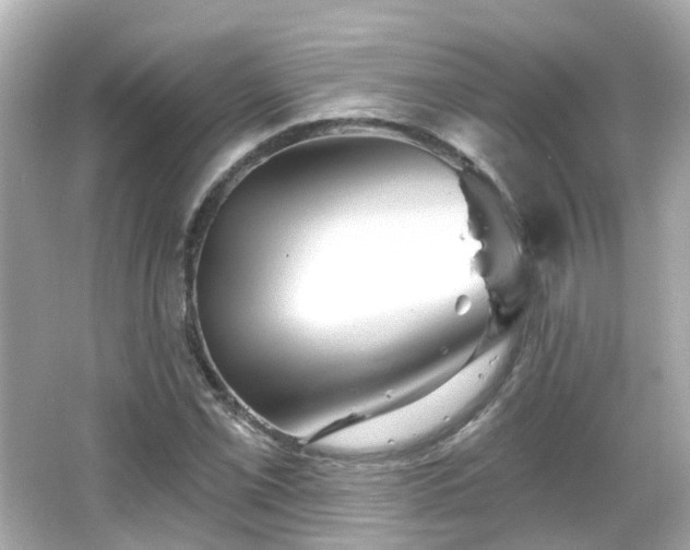X0000066531069200603201354