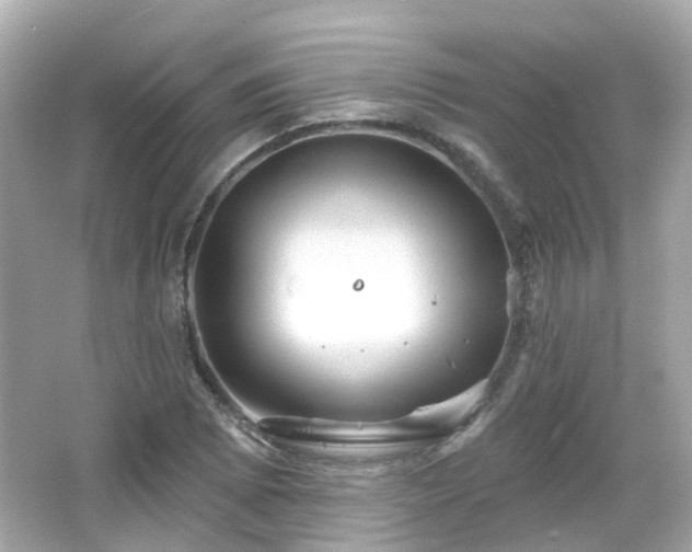 X0000066531073200603201354