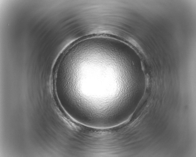 X0000066531076200603201354