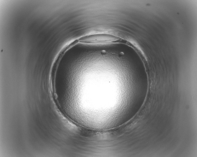 X0000066531080200603201353