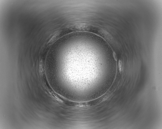 X0000066531107200603201352
