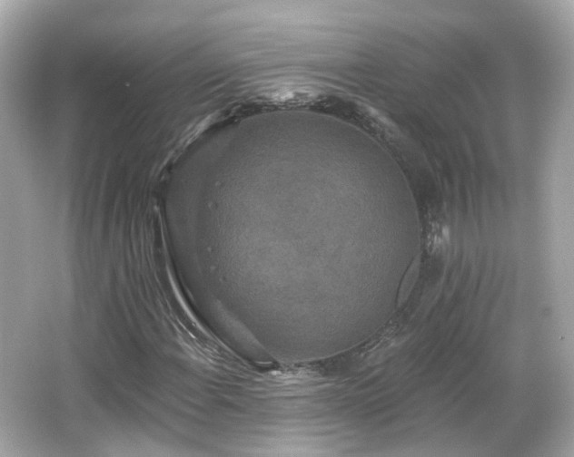 X0000066531108200603201352