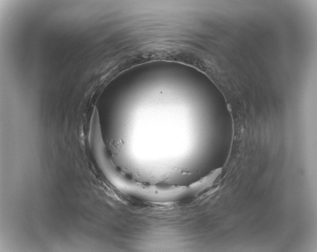 X0000066531109200603201352