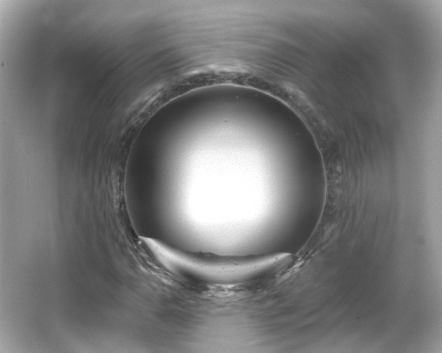 X0000066531110200603201352