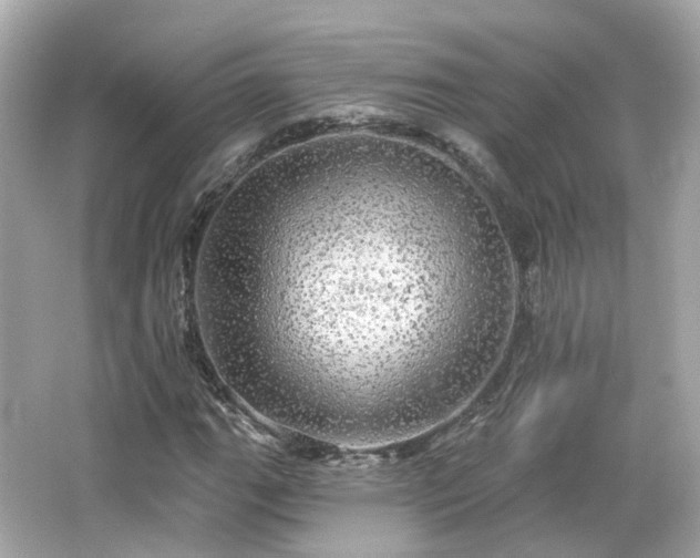 X0000066531111200603201352