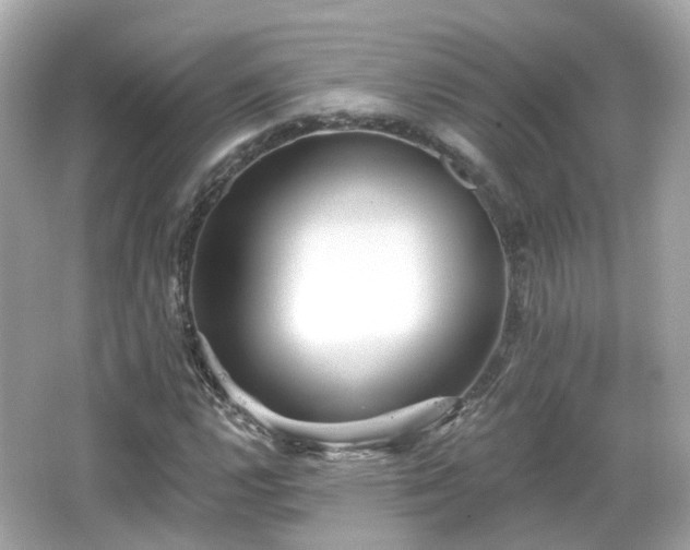 X0000066531112200603201352