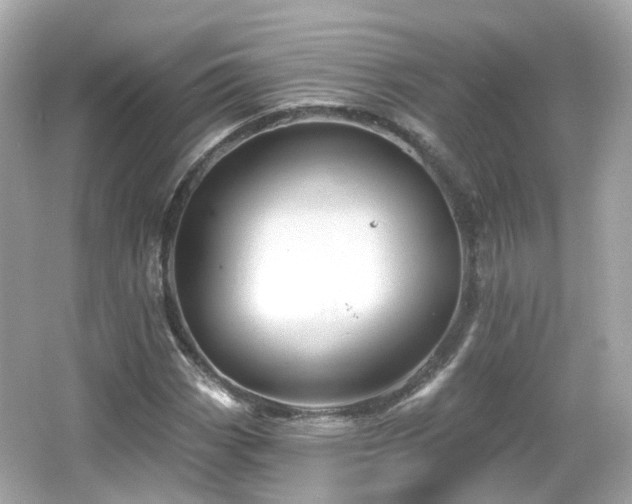 X0000066531113200603201352