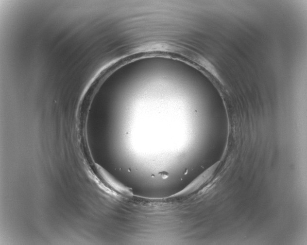X0000066531116200603201352