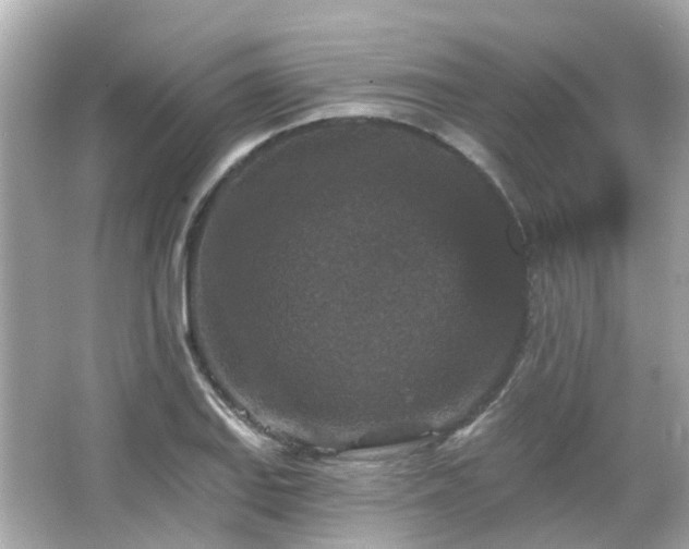 X0000066531127200603201353