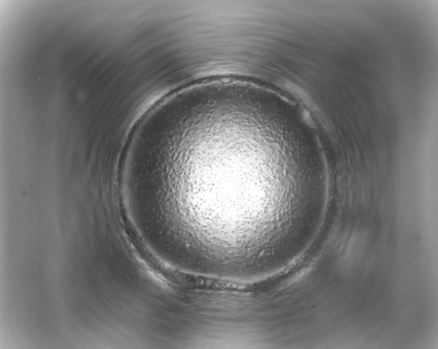X0000066531129200603201353
