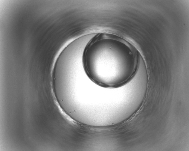 X0000066531152200603201353