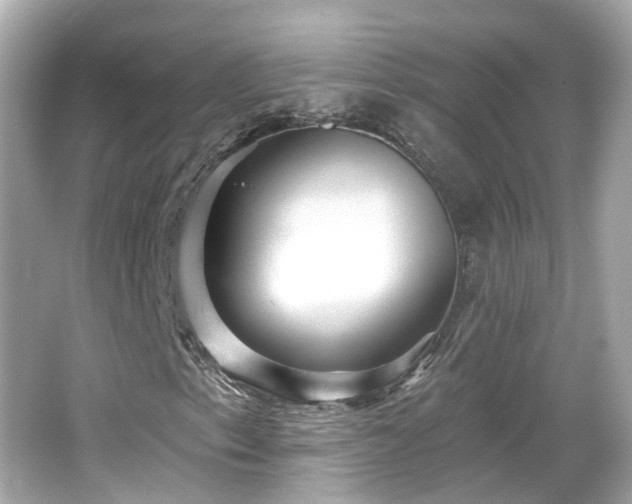 X0000066531153200603201352