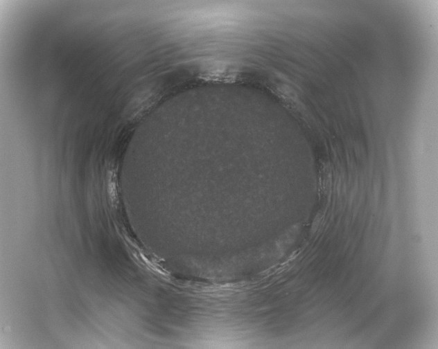 X0000066531154200603201352