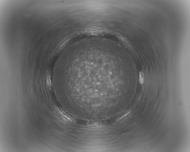 X0000066531155200603201352
