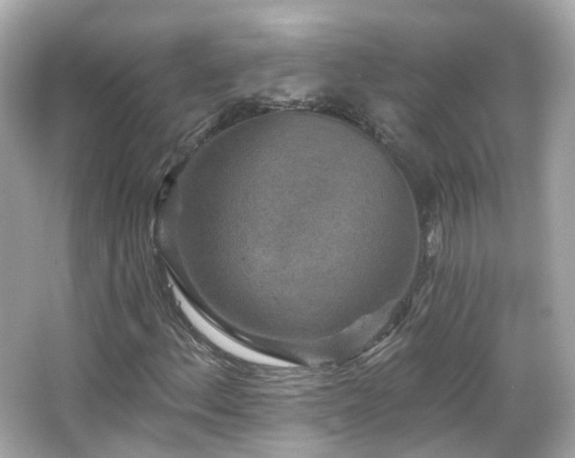 X0000066531156200603201352