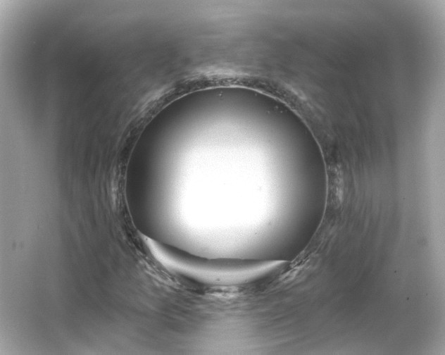 X0000066531157200603201352