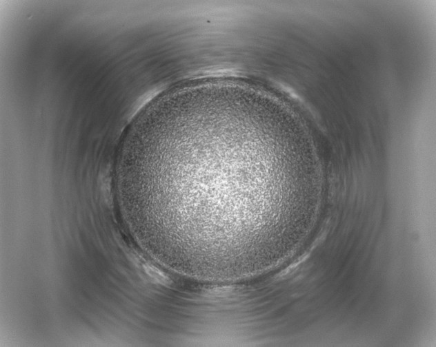 X0000066531162200603201352