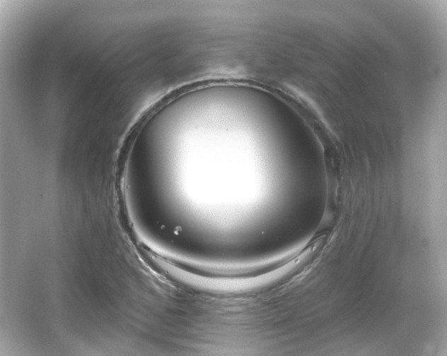 X0000066531168200603201352