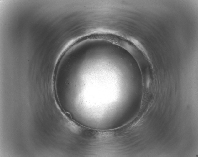 X0000066531183200603201352