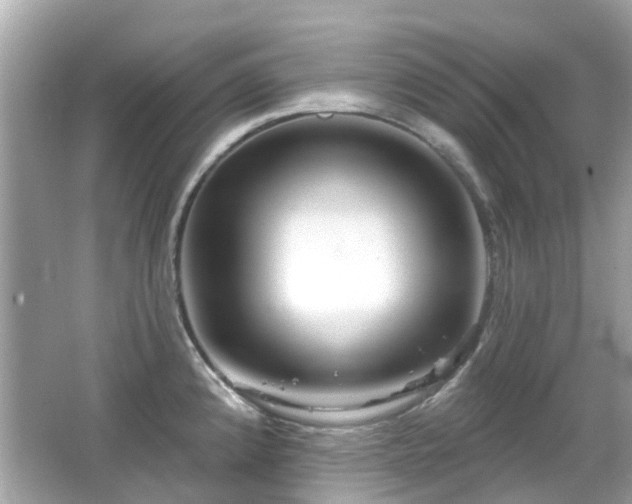 X0000066531192200603201352