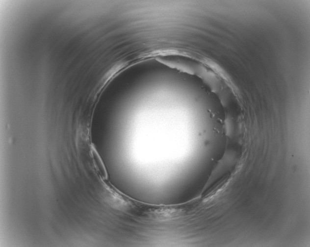 X0000066531193200603201352