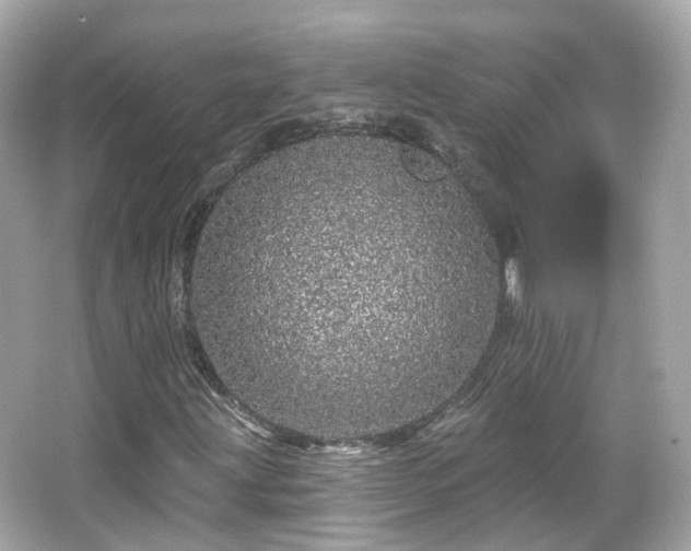 X0000066531203200603201351