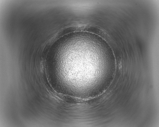 X0000066531204200603201351