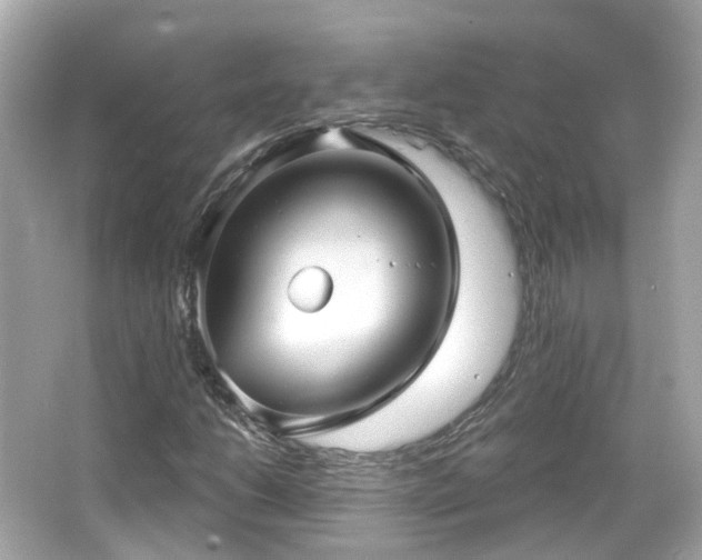 X0000066531206200603201351