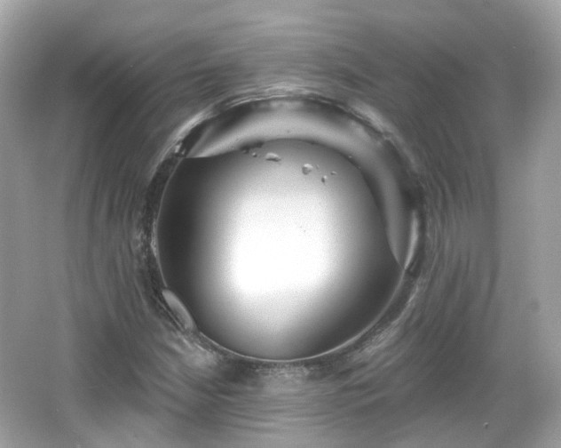 X0000066531210200603201351