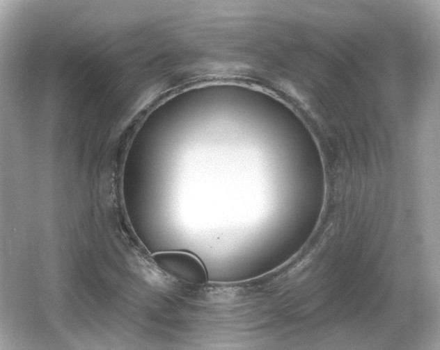 X0000066531211200603201351