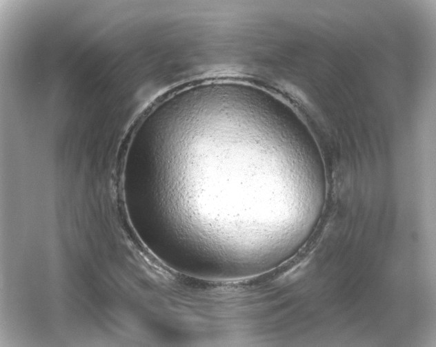 X0000066531212200603201351