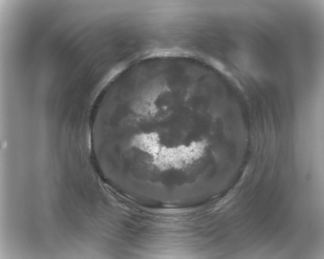 X0000066531221200603201351