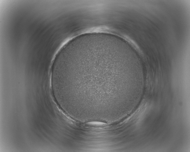 X0000066531224200603201351