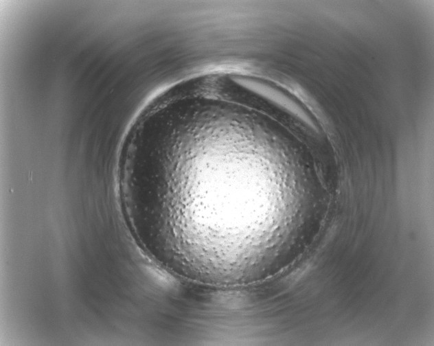 X0000066531232200603201351