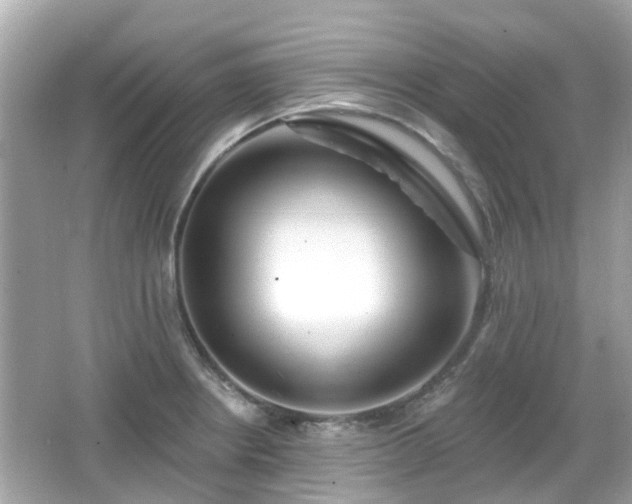 X0000066531234200603201351