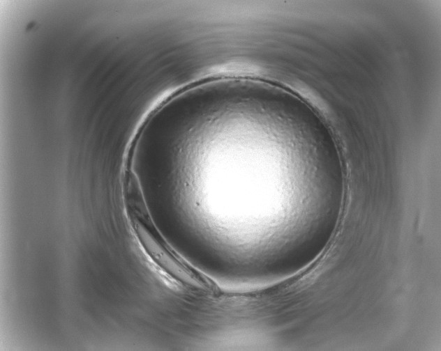 X0000066531248200603201351