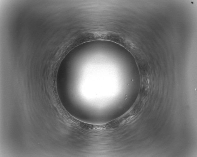 X0000066531249200603201351