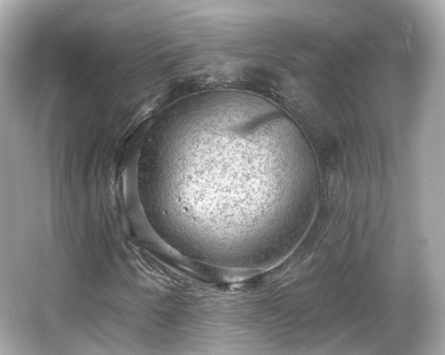 X0000066531250200603201351