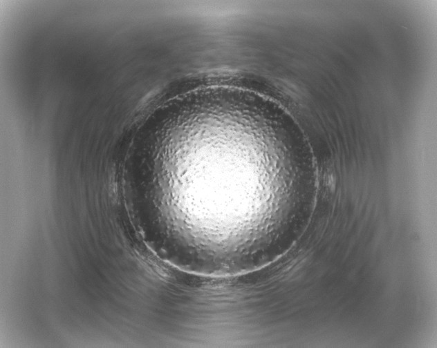 X0000066531252200603201351