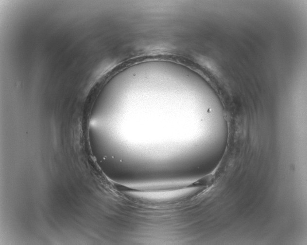 X0000066531261200603201350