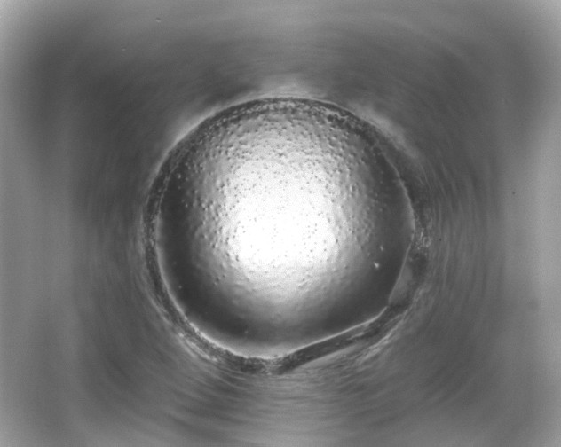 X0000066531264200603201350